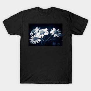 Just Daisies T-Shirt